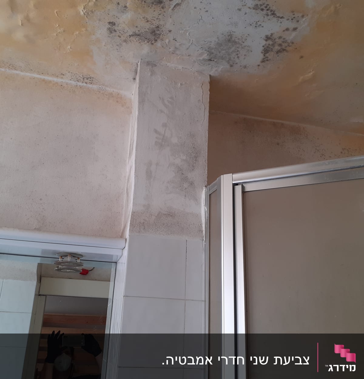 תקרה עם כתמי עובש ורטיבות לפני צביעה